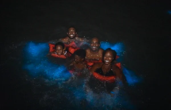 Luminous Lagoon - Falmouth, Trelawny - Image 2