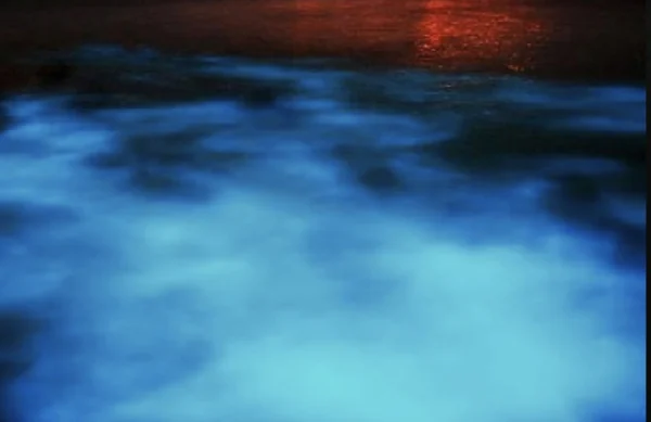 Luminous Lagoon - Falmouth, Trelawny - Image 4