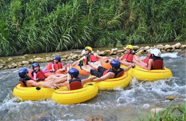 River Tubing - Falmouth, Trelawny - Image 2