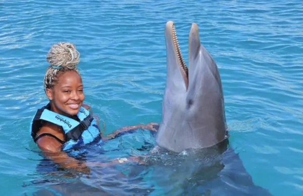 Dolphin Encounter - Ocho Rios - Image 3