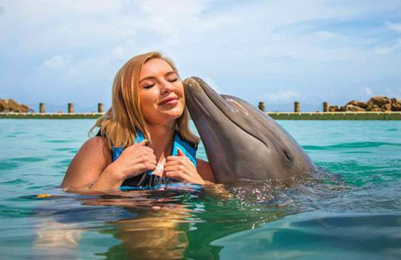 Dolphin Swim - Ocho Rios