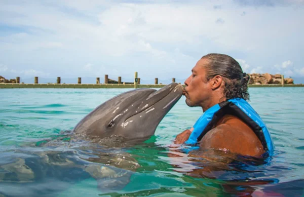 Dolphin Swim - Ocho Rios - Image 3