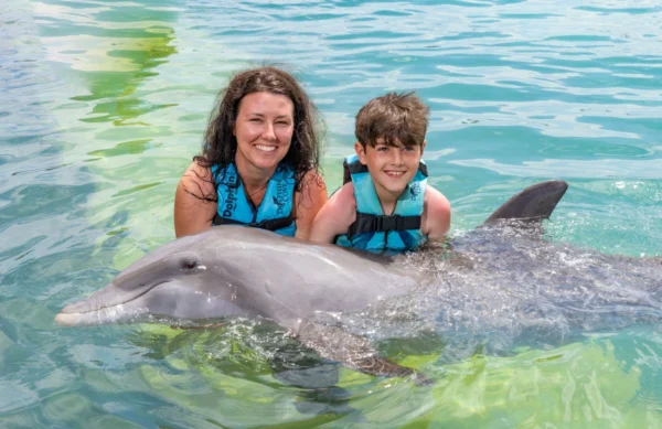 Dolphin Swim - Ocho Rios - Image 2