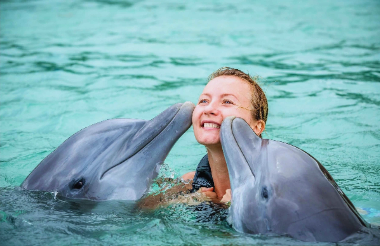 Dolphin Royal Swim - Ocho Rios