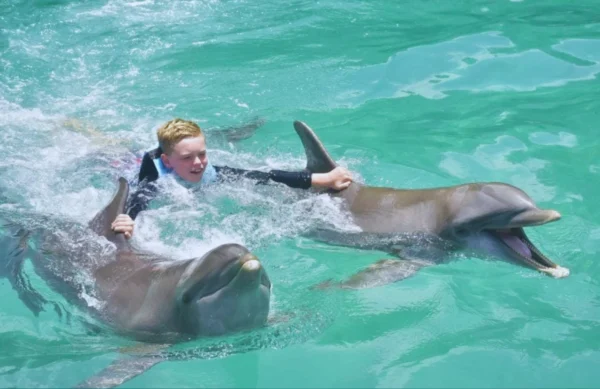 Dolphin Royal Swim - Ocho Rios - Image 4