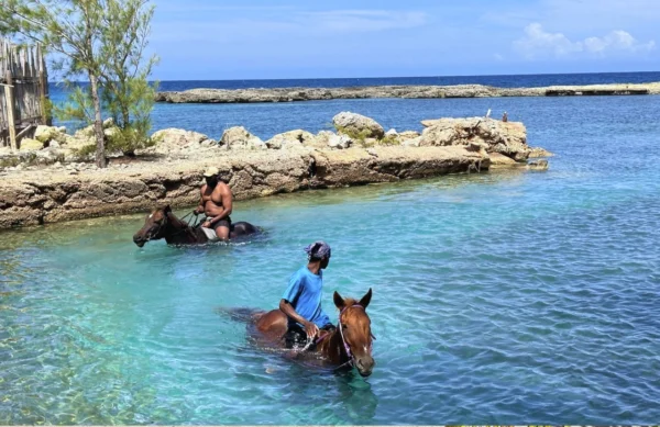 ATV , Horse back and (Blue hole or Bamboo rafting) - Ocho Rios - Image 7
