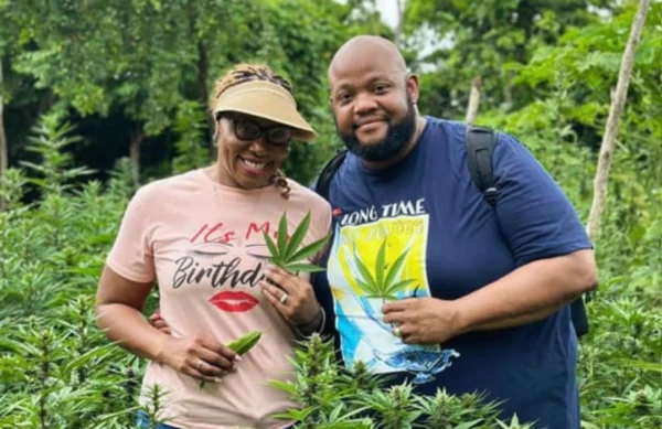 Weed farm experience - Montego bay - Image 2