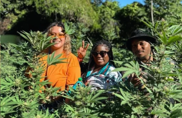 Weed farm & Jet ski - Montego bay - Image 3