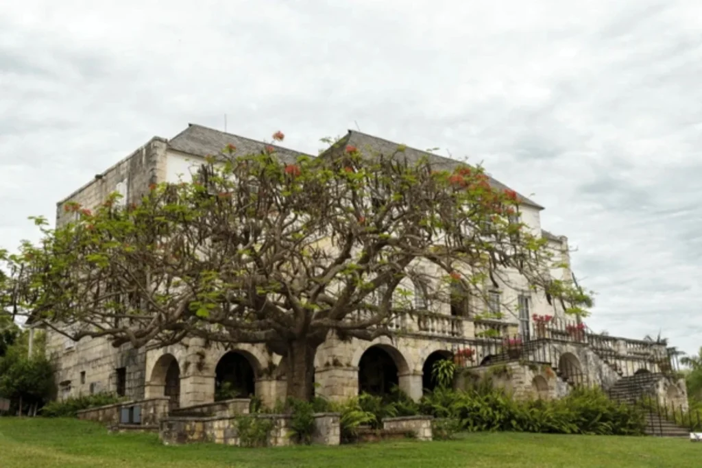Experience Real Jamaican Culture
