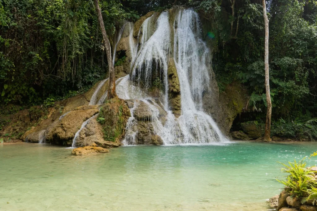5 Best Ocho Rios Tours You Have to Try in 2026 5 Dunns River Falls - Ocho Rios