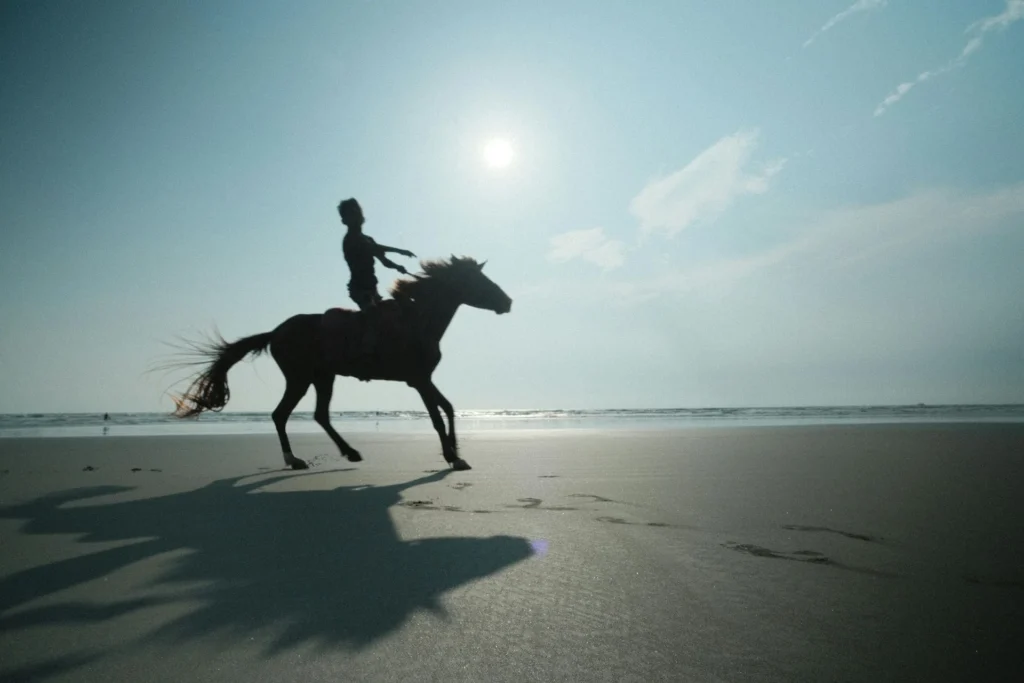 5 Best Ocho Rios Tours You Have to Try in 2026 2 Horseback Riding & Blue Hole - Ocho Rios