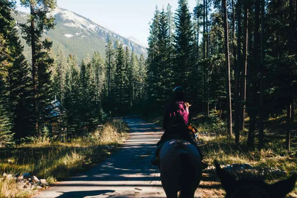 ATV, Horseback, and (Blue Hole or Bamboo Rafting) in Ocho Rios | 