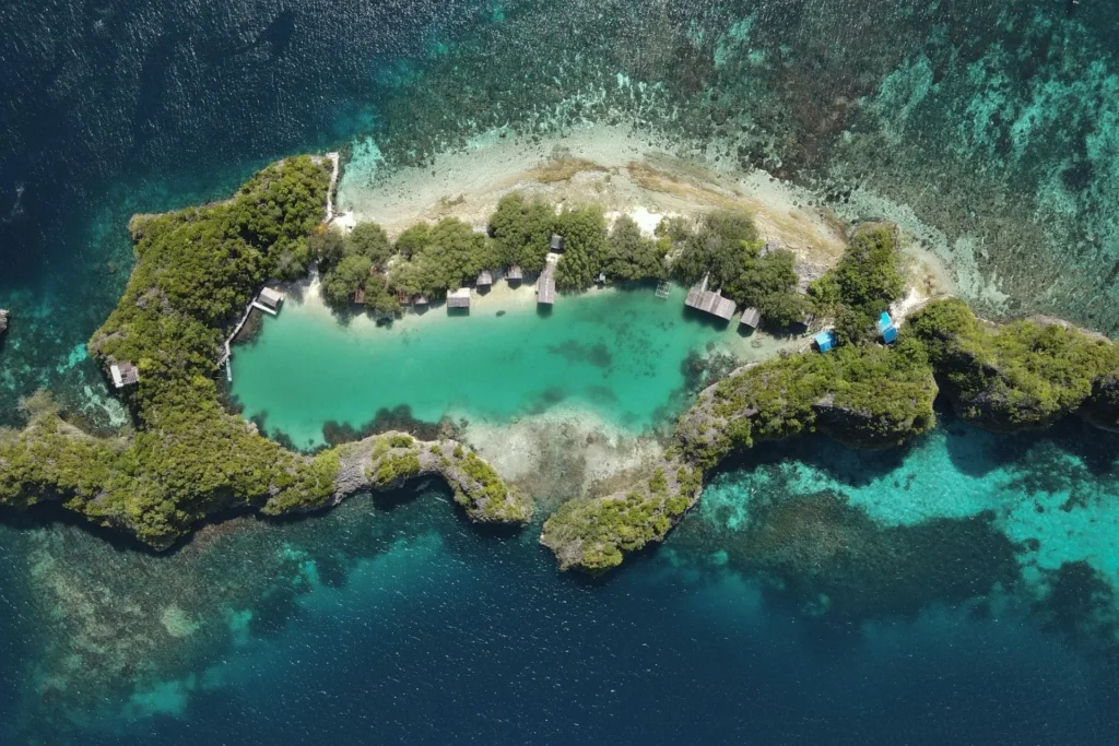Luminous Lagoon Jamaica Best Time to Visit