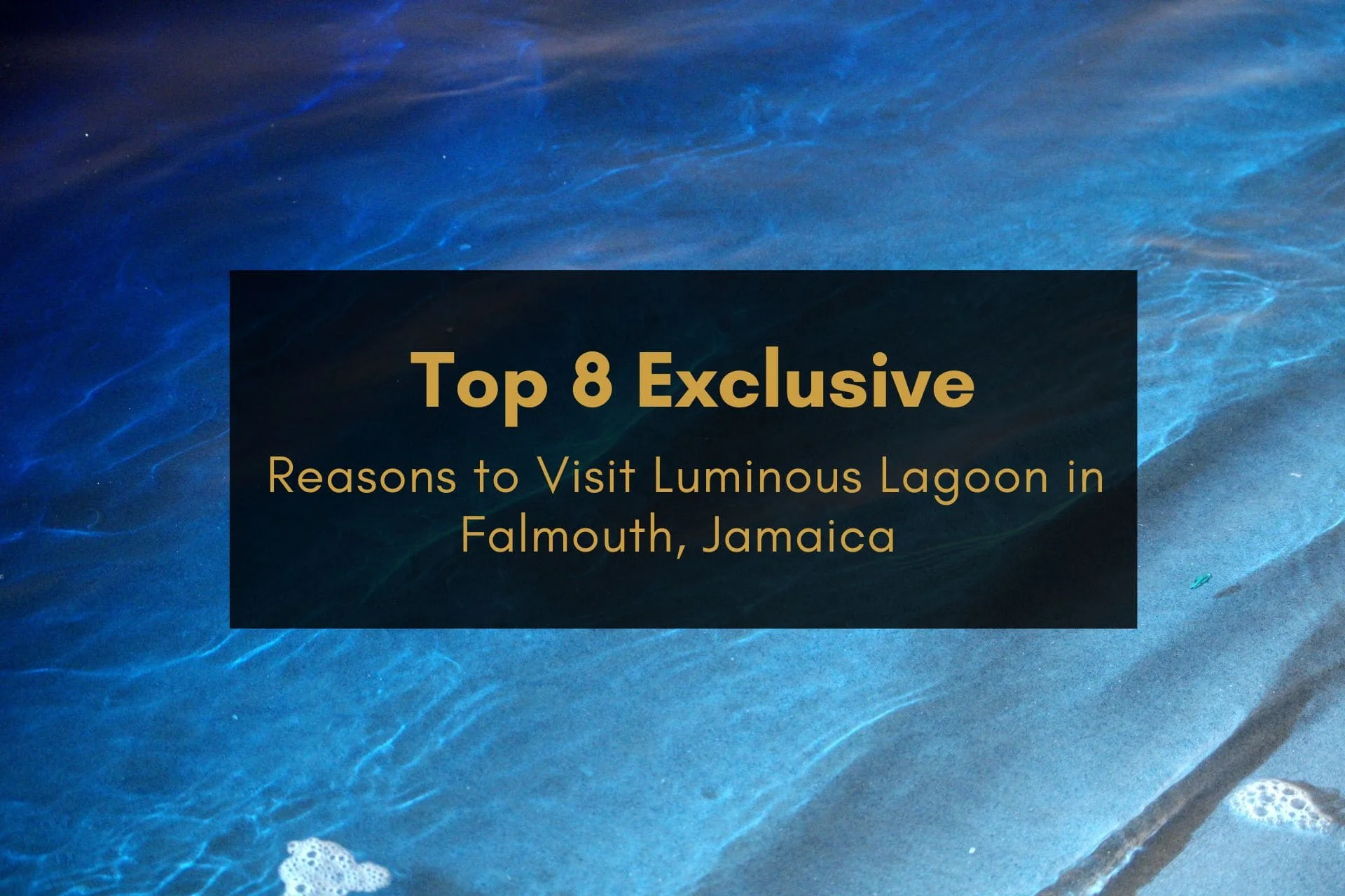 Top 8 Exclusive Reasons to Visit Luminous Lagoon in Jamaica